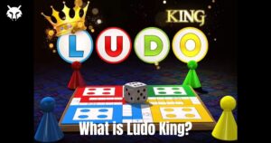 What is Ludo King
